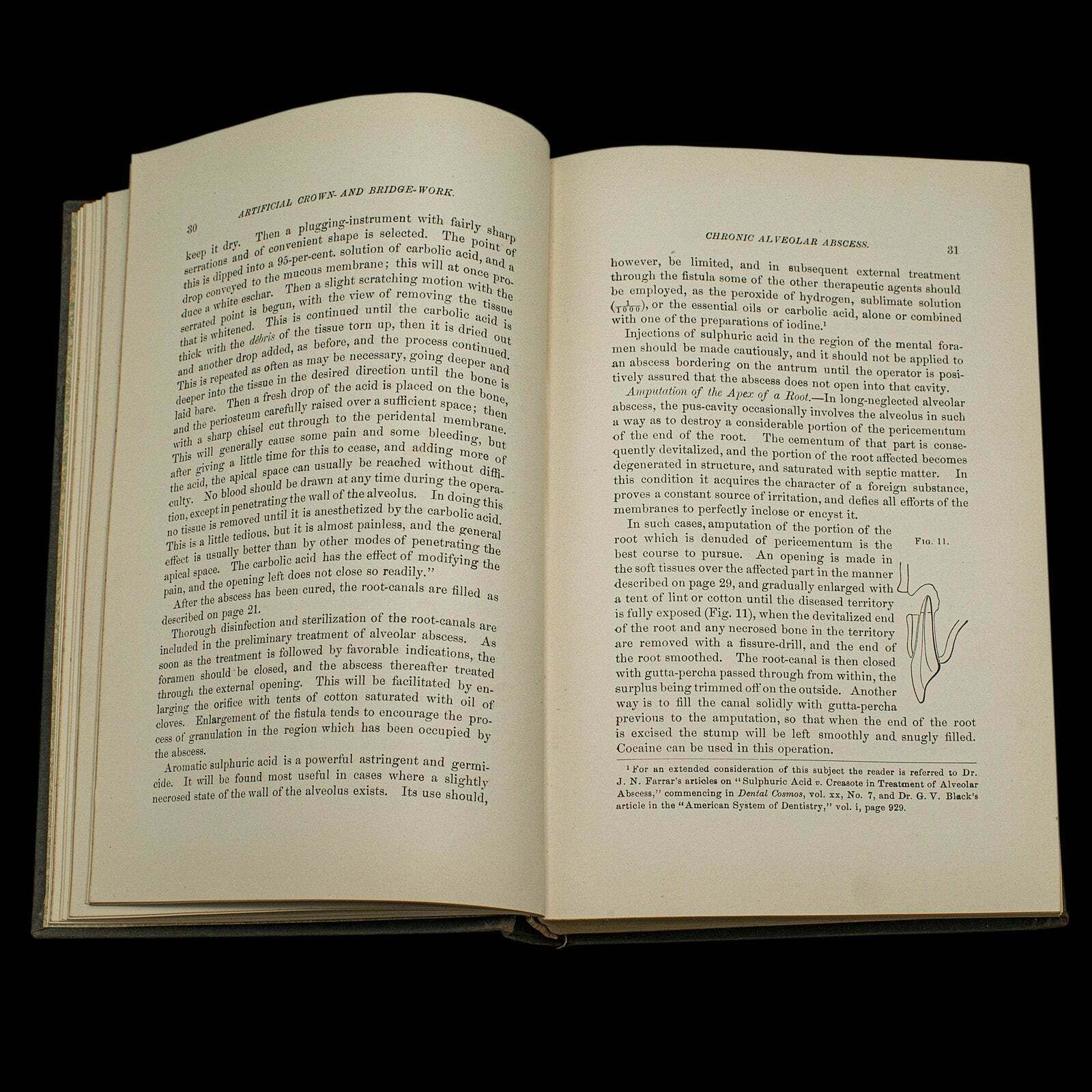 Set Of 2 Dentistry Books, English Language, Bound Medical Reference, Victorian photo 295.0