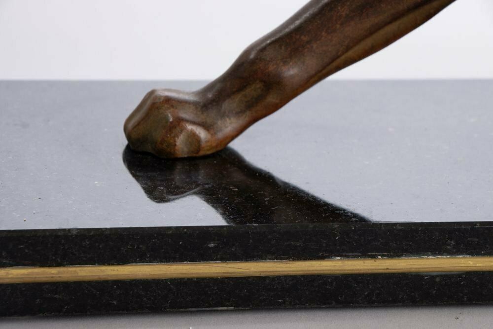 Art Deco Patinated Bronze Muscular Panther On A Stepped Marble Base With Brass Trims C.1930 photo 1100.0