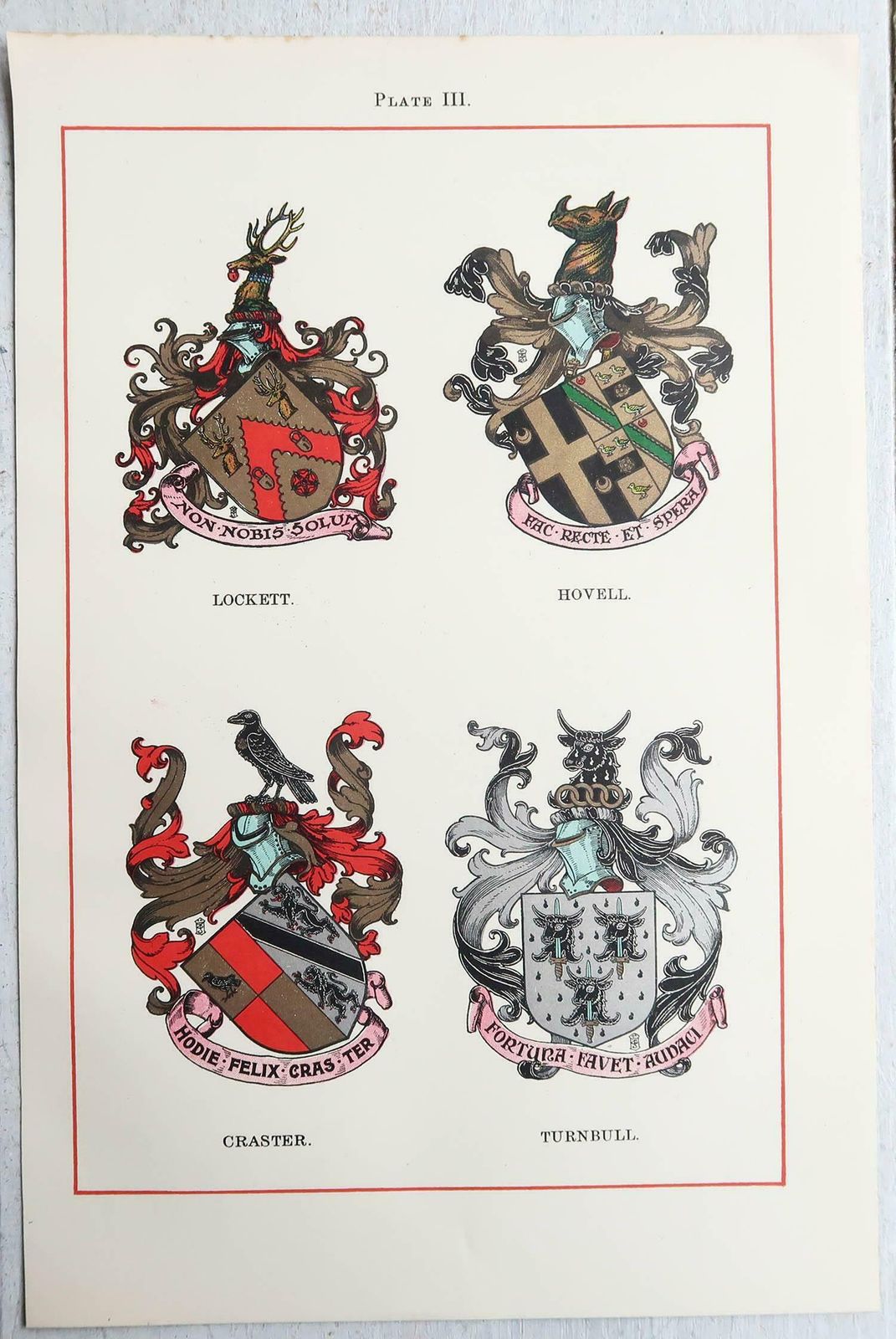 Set Of 12 Antique Prints Of English Family Coats Of Arms. C.1900 photo Art