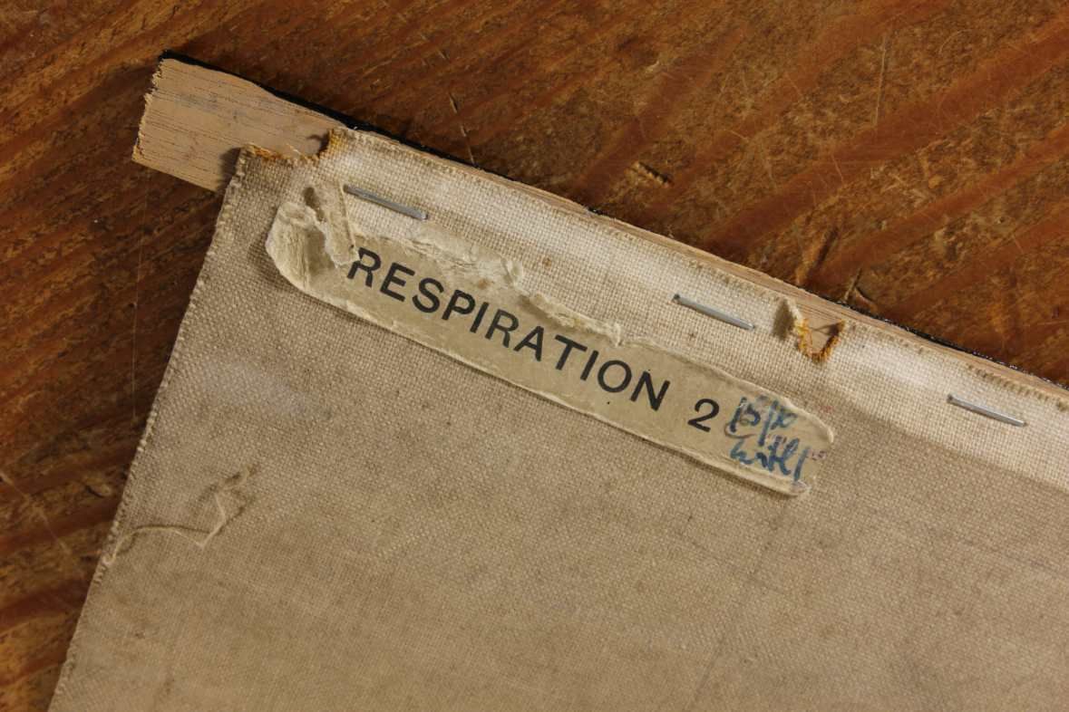 photo for sale Respiration Medical Body Wall Chart Poster. St John Ambulance. C1940.
