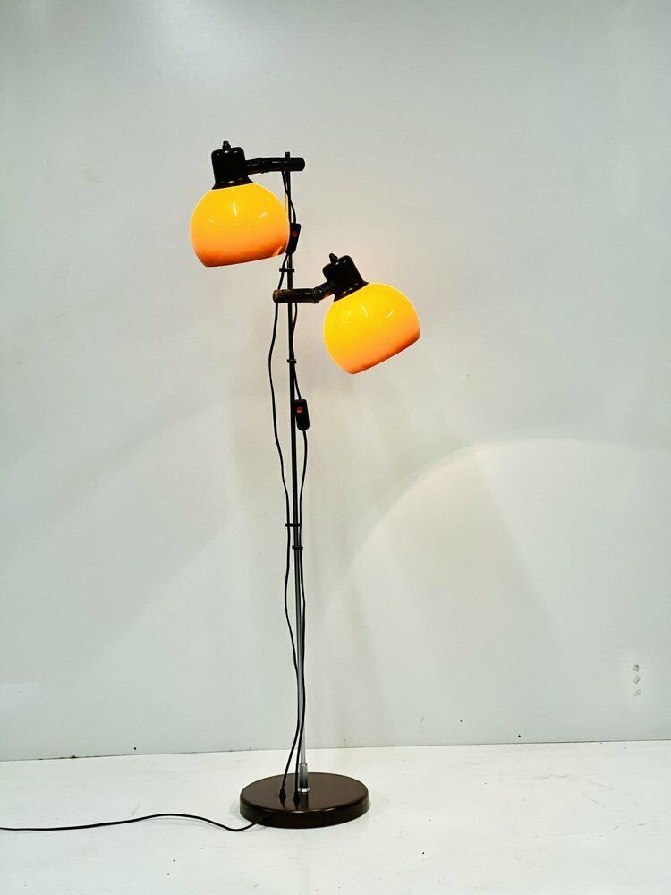 Mid Century Floor Lamp, 1970s, Vintage photo Lighting