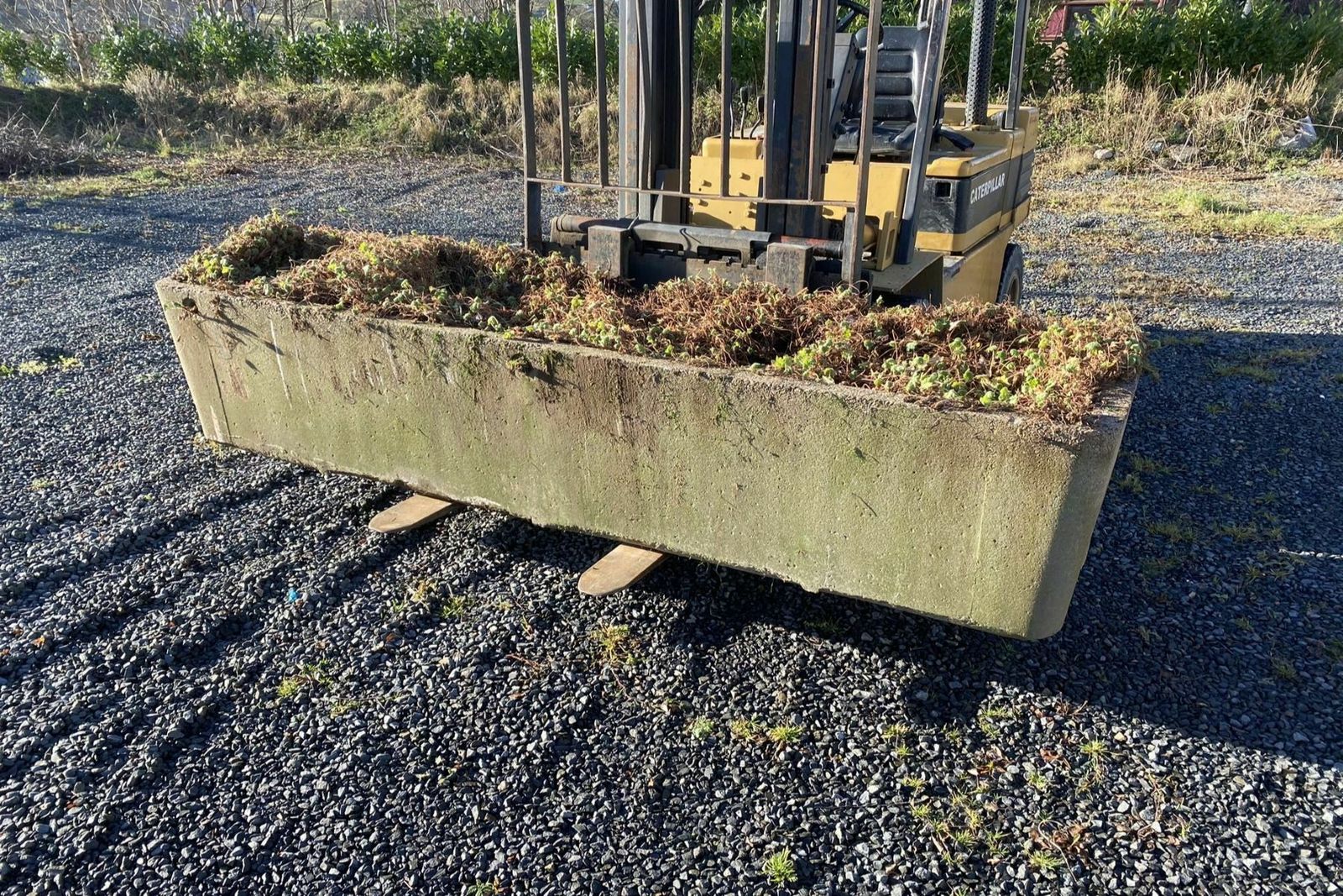 Large Scale 1970s Concrete Planter Trough In The Manner Of Willy Guhl