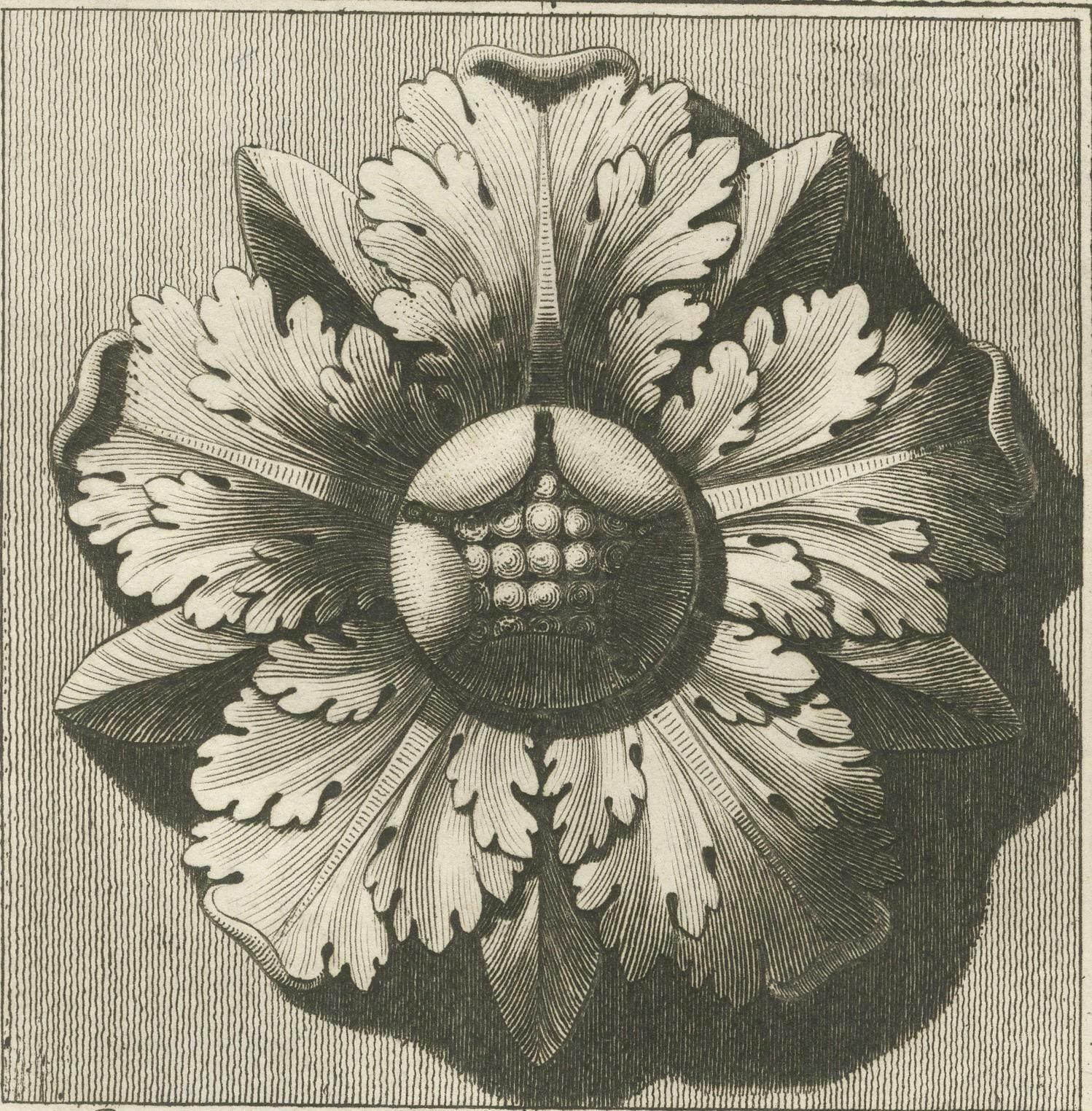 Original Antique Roman Rosette Engraving #26, Campo Vaccino photo Art