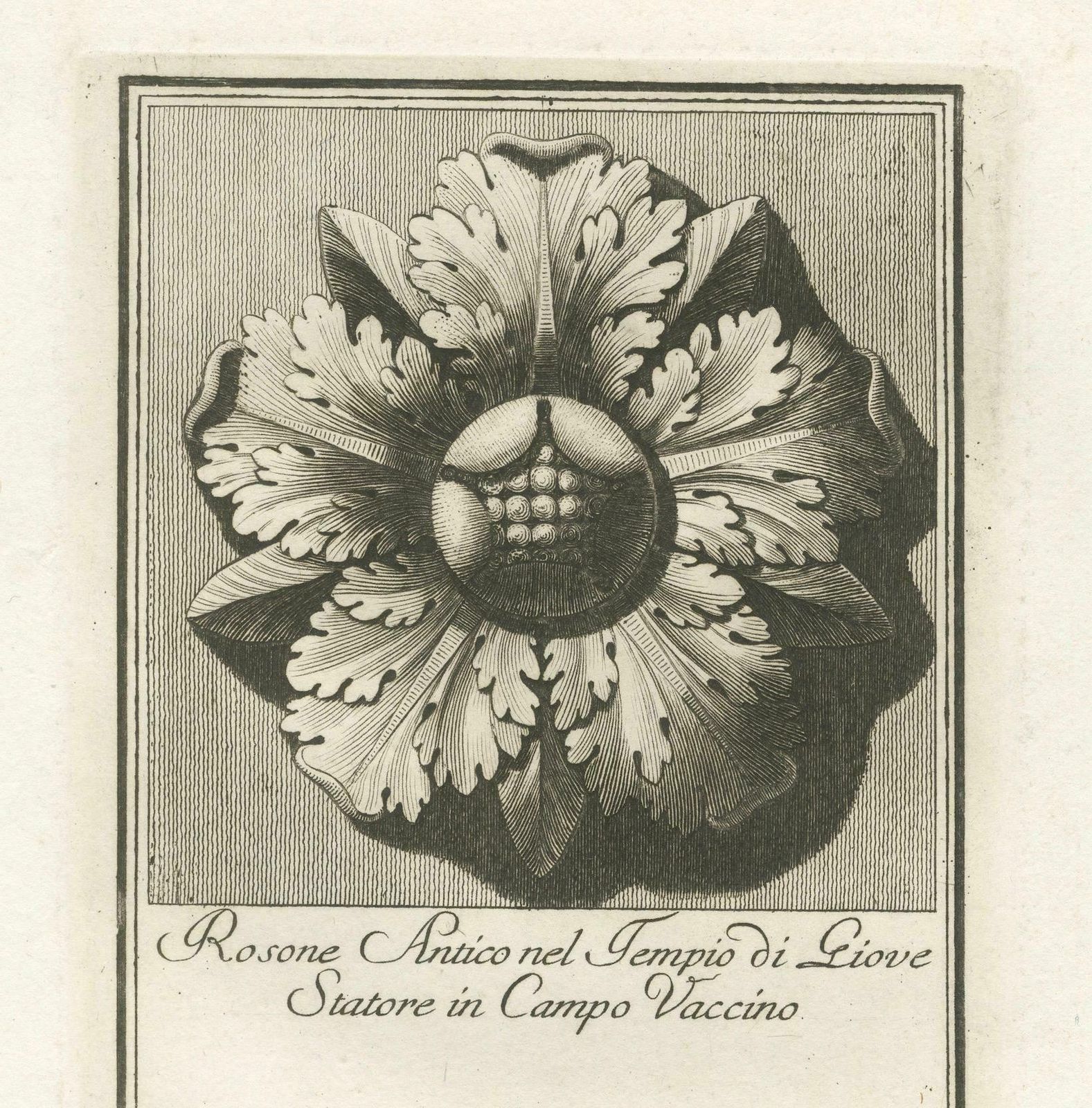 Original Antique Roman Rosette Engraving #26, Campo Vaccino photo 240.0