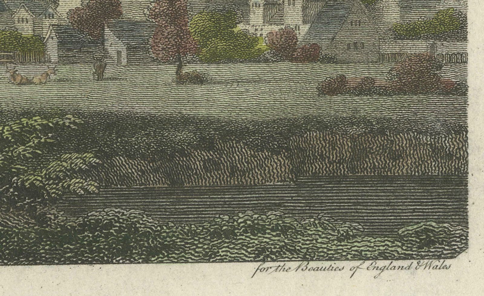Enchanting Norwich: A Historical 1801 Engraved View By W. Angus And E. Dayes photo Art
