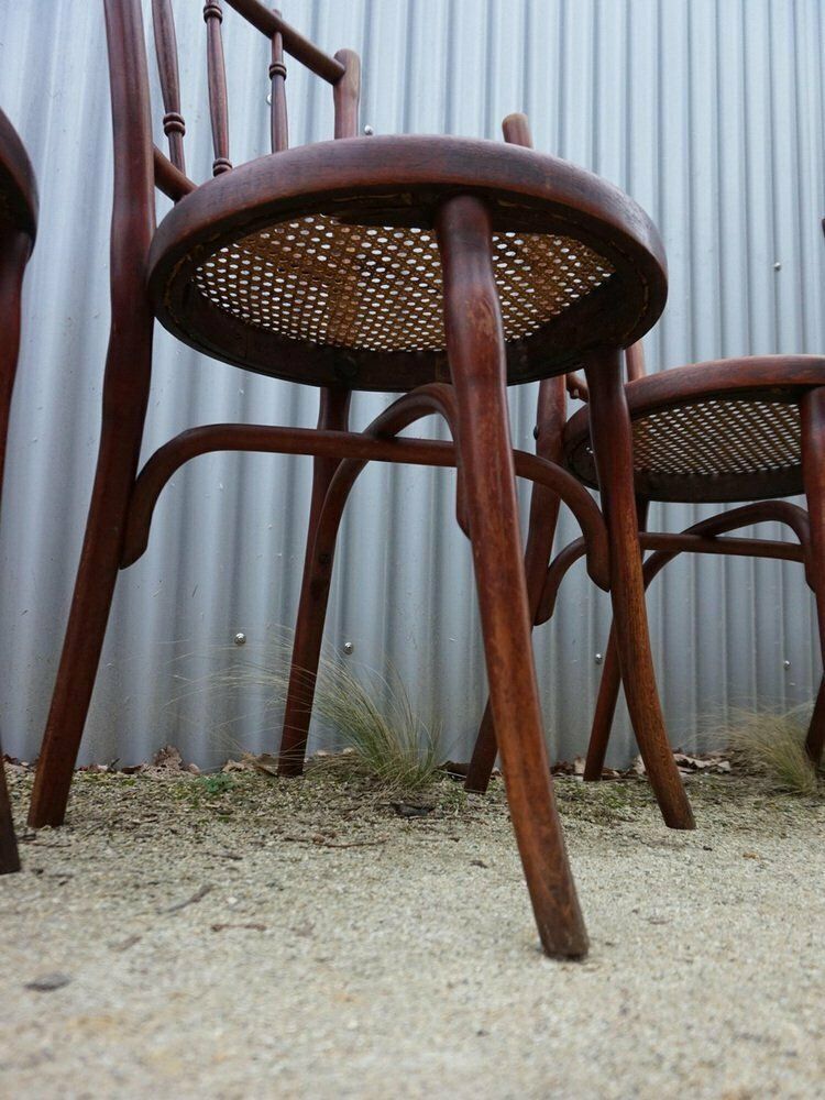 No. 66 Bistro Dining Chairs From Thonet, Vienna, Austria, 1910s, Set Of 4 photo vinterior