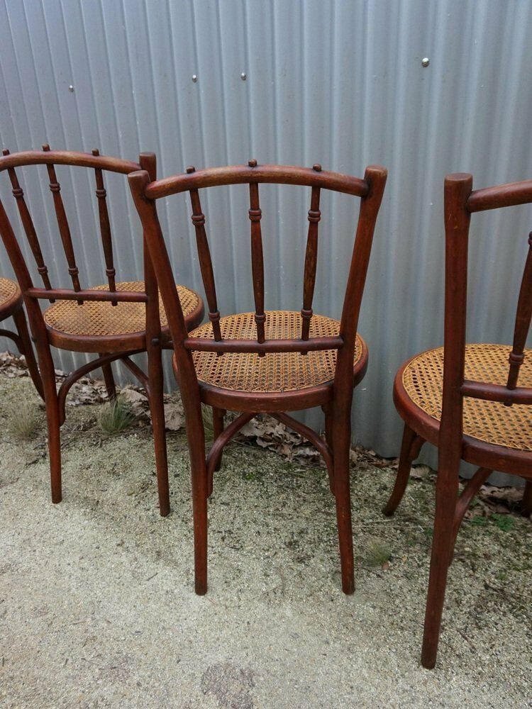 photo furniture No. 66 Bistro Dining Chairs From Thonet, Vienna, Austria, 1910s, Set Of 4