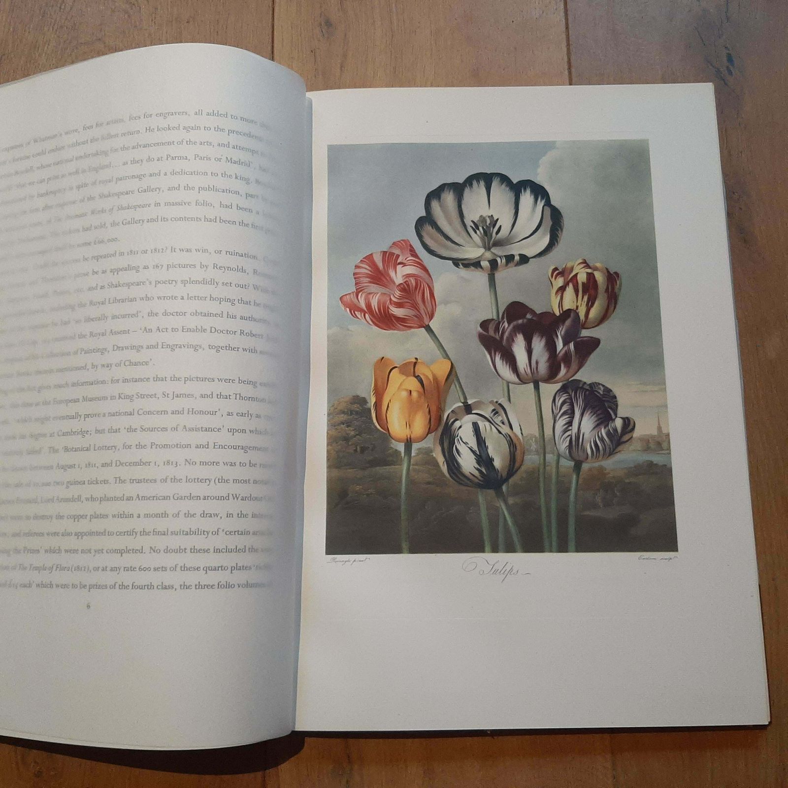 Limited Edition Thornton's Temple Of Flora By DR. Robert John Thornton '1951' photo for sale