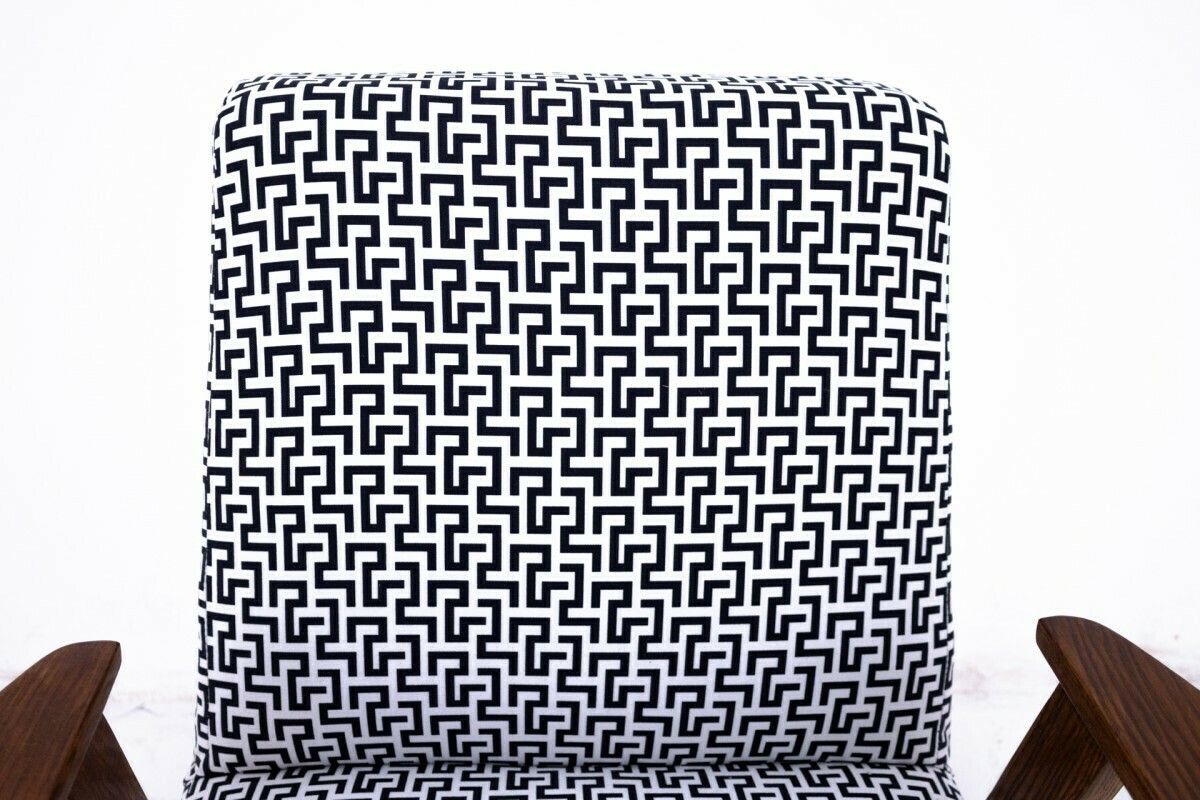Armchair 366 Designed By Chierowski, Poland, 1960s. photo 435.0