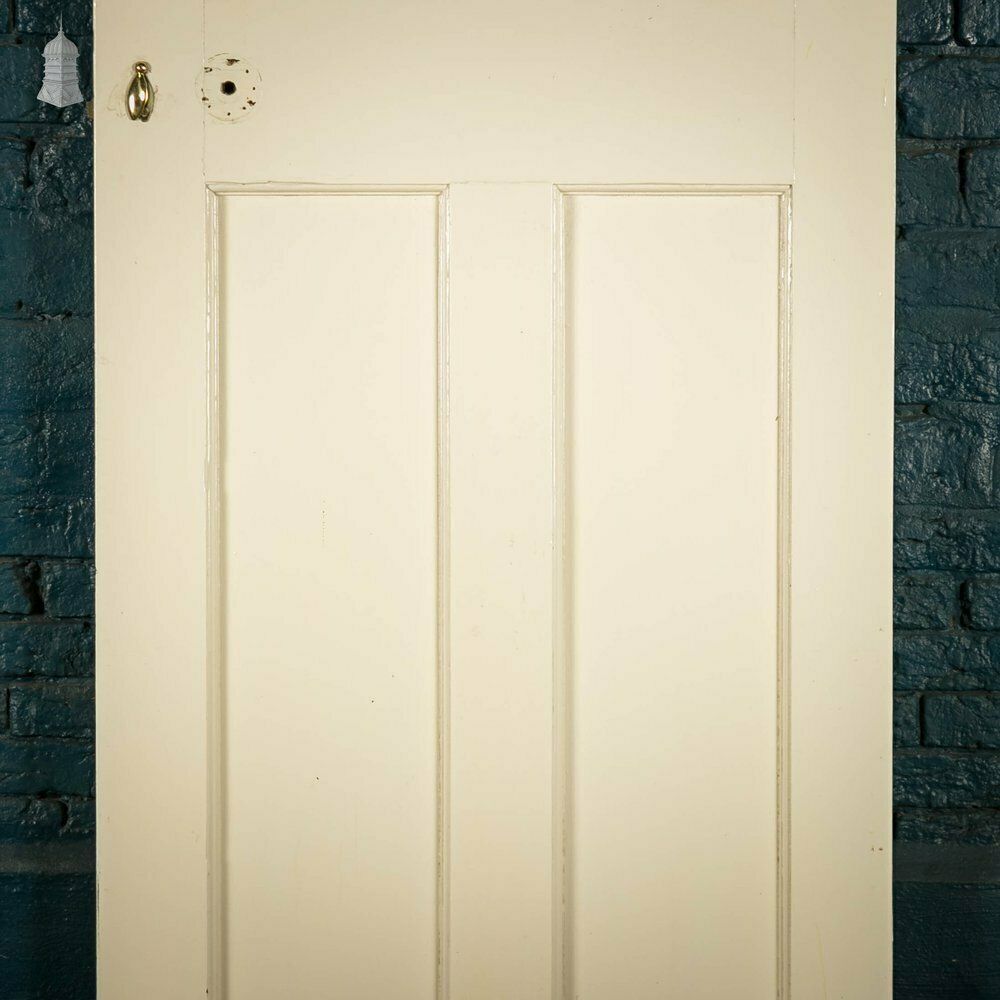 Home Fixtures Pine Panelled Door, White Painted 3 Panel photo