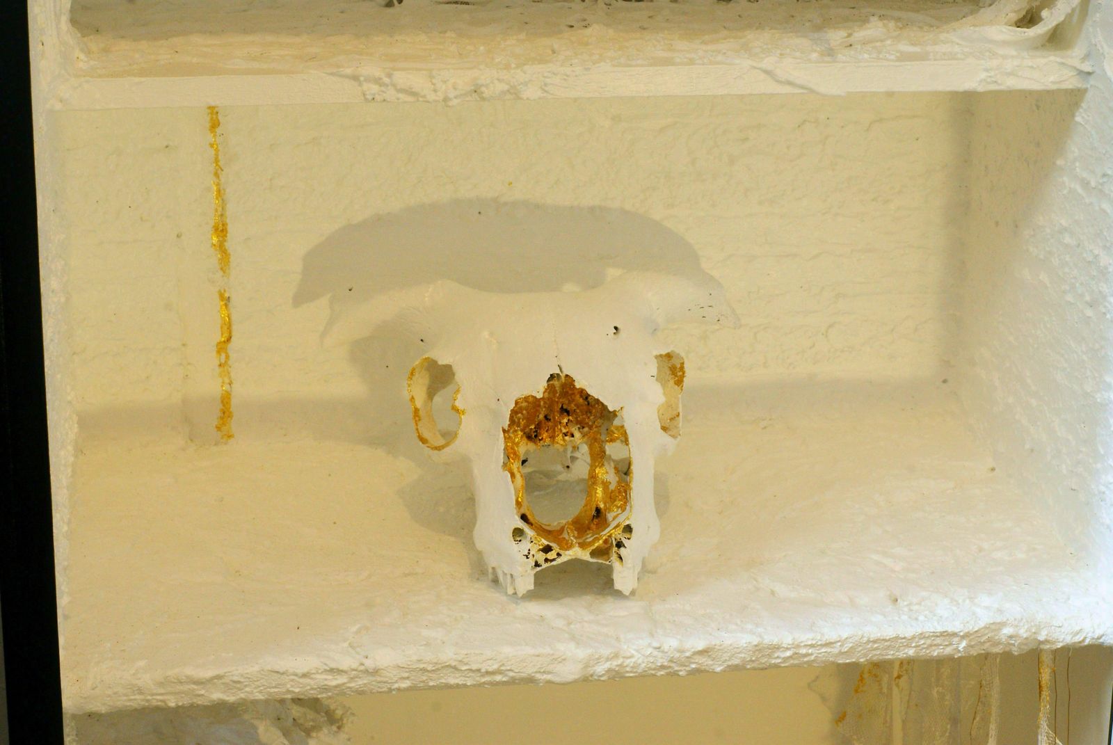 The Cabinet Of Curiosities By Gilda And Lily photo for sale