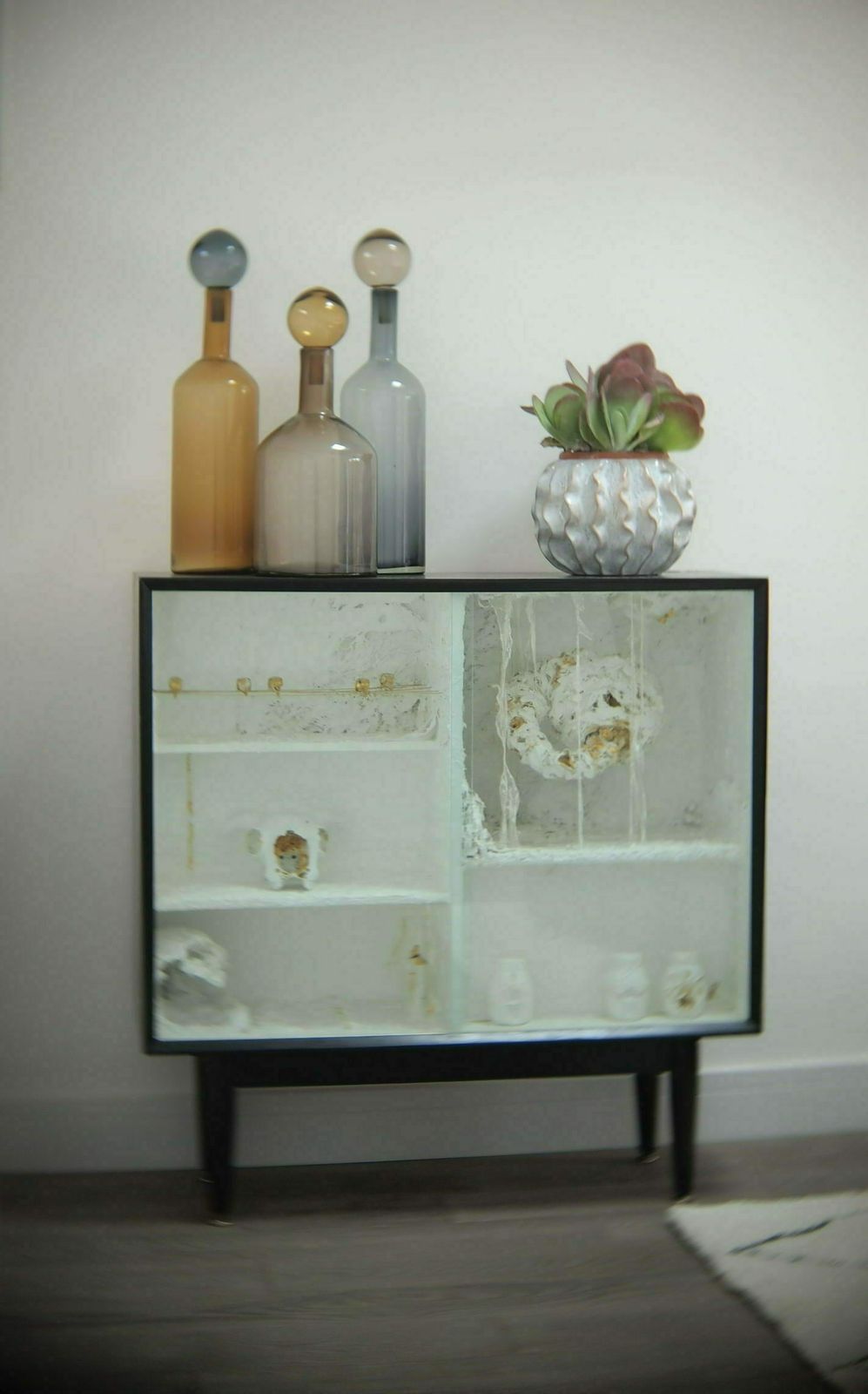 The Cabinet Of Curiosities By Gilda And Lily photo buy
