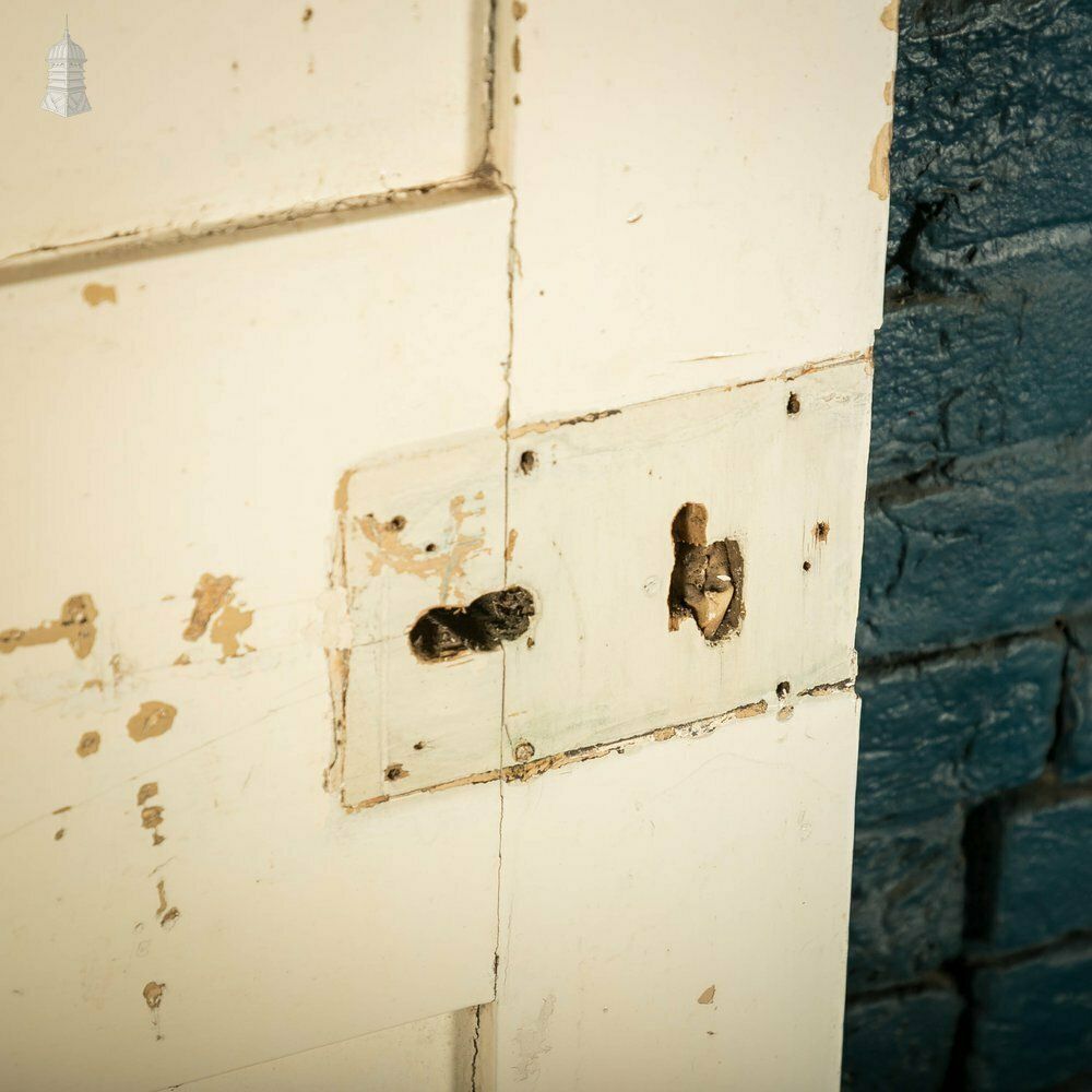 210.0 Pine Panelled Door, White Painted photo