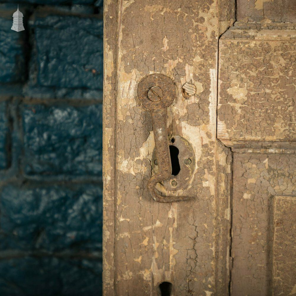 French Cupboard Door, 18th C Moulded 2 Panel Pine Door With Distressed Painted Finish photo buy