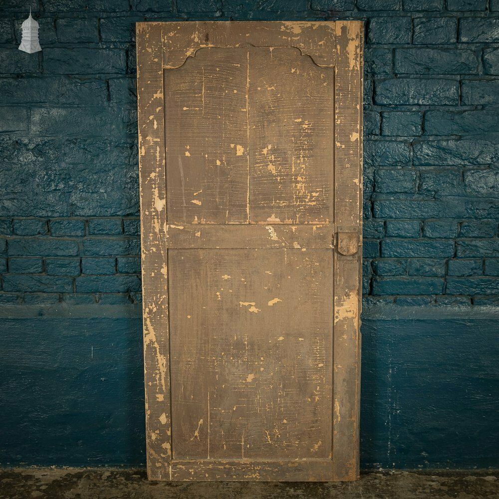 French Cupboard Door, 18th C Moulded 2 Panel Pine Door With Distressed Painted Finish photo vintage