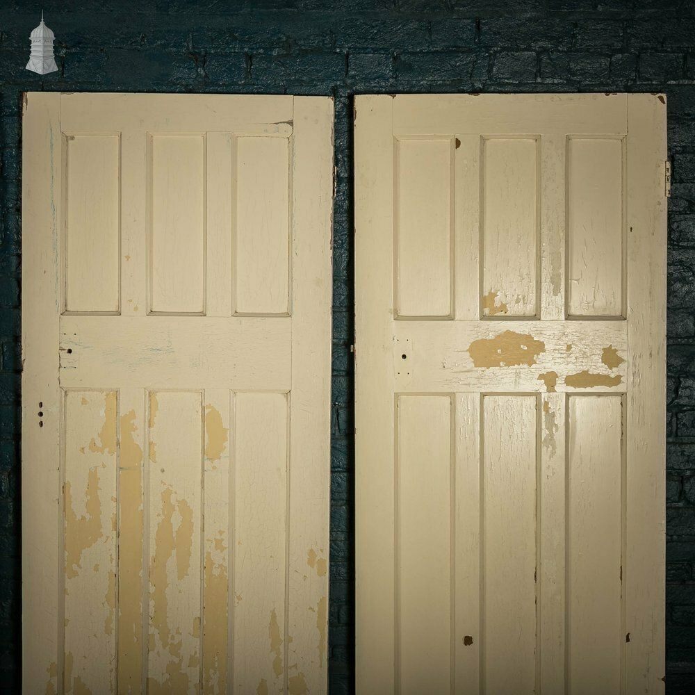 Pine Panelled Door, 6 Panel White Painted Set Of 5 photo vinterior