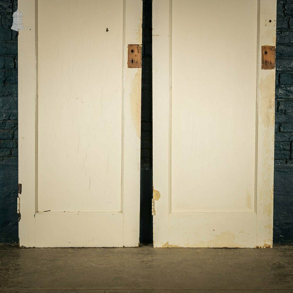 Pine Panelled Doors Pair Of White Painted Doors photo for sale
