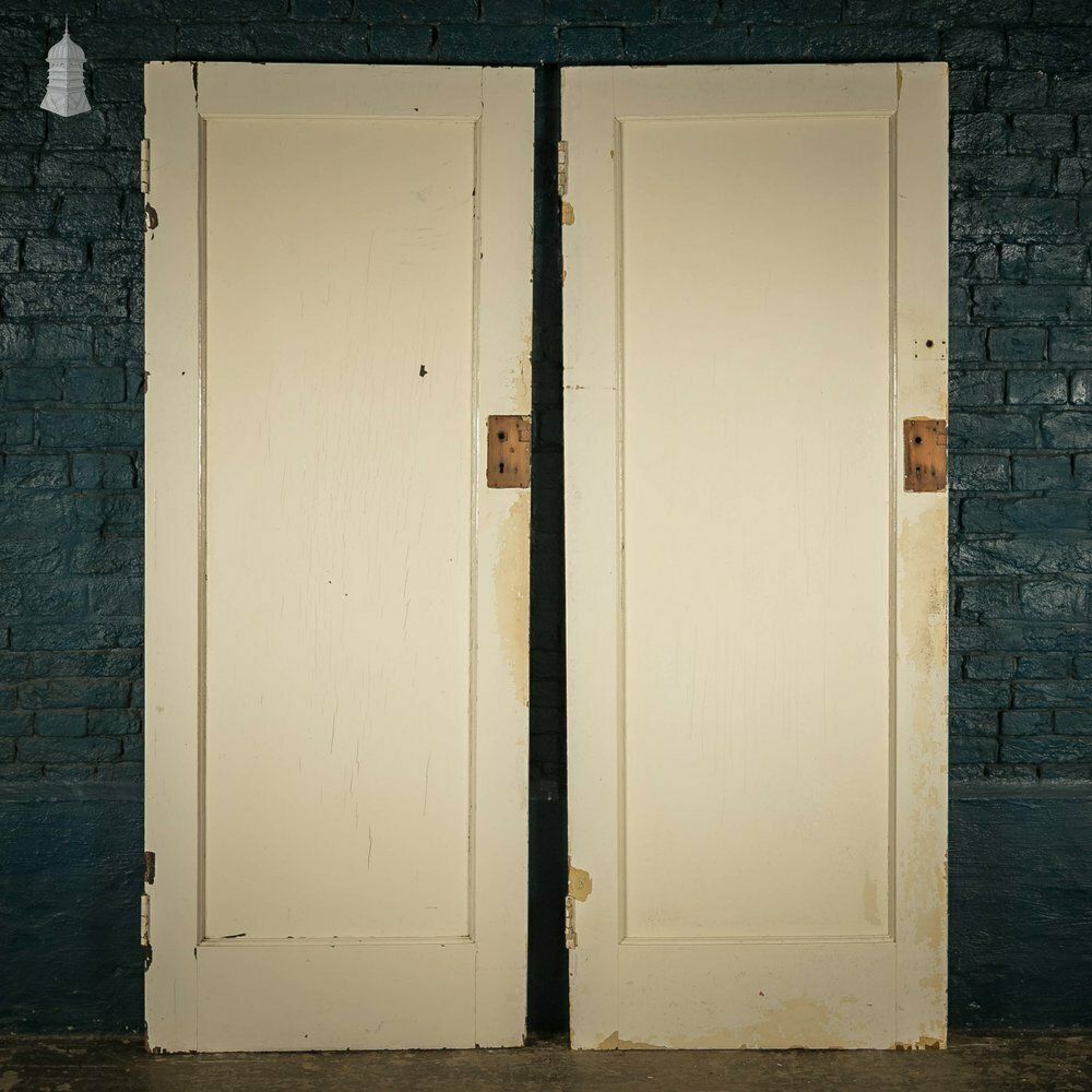 Pine Panelled Doors Pair Of White Painted Doors