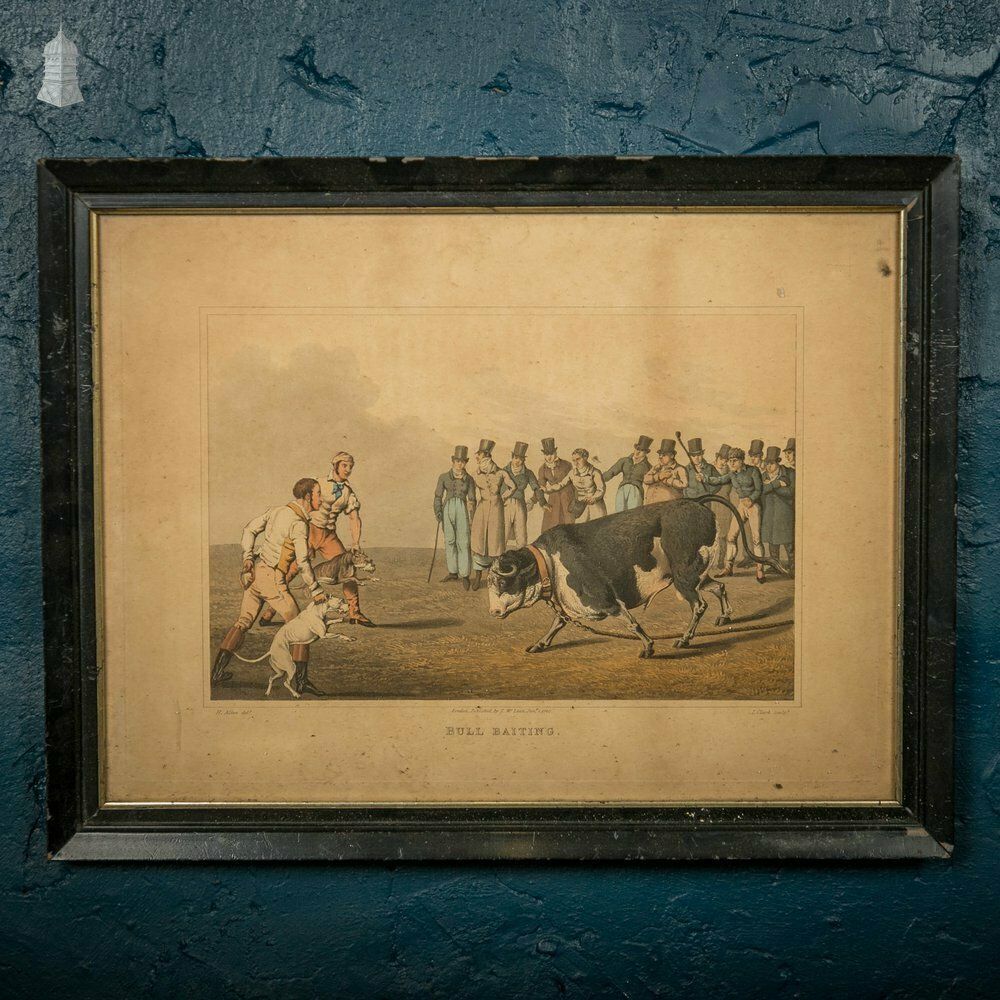 Bull Baiting Etchings, Pair Of Colored Etchings photo furniture