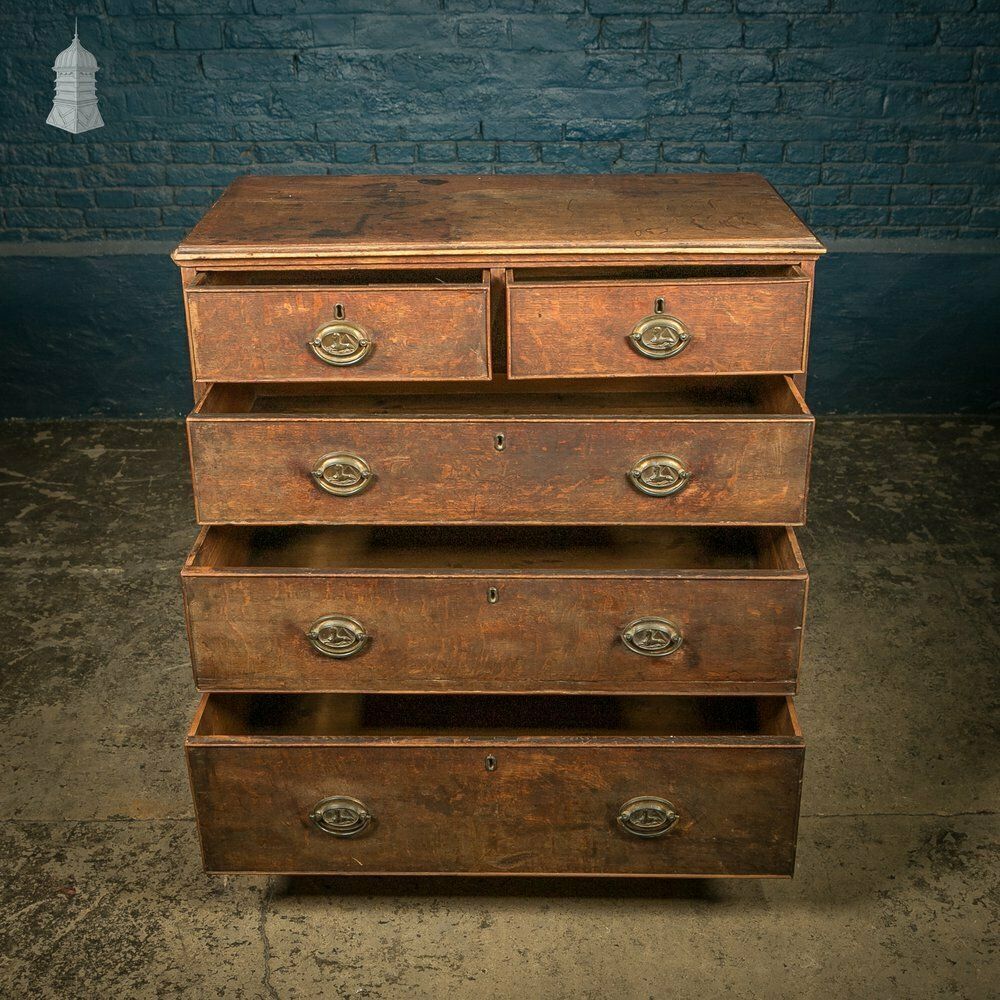 Chest Of Drawers, George III, Oak 2 Over 3 Drawer With Brass Sphinx Pull Handles photo Furniture
