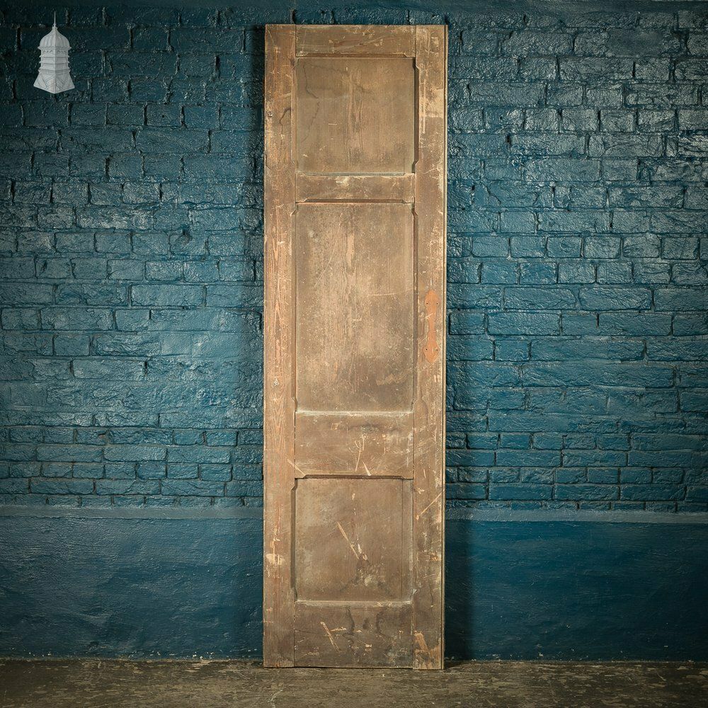 Narrow Paneled Door, 19th C Pine With Stop Chamfer Detail photo for sale