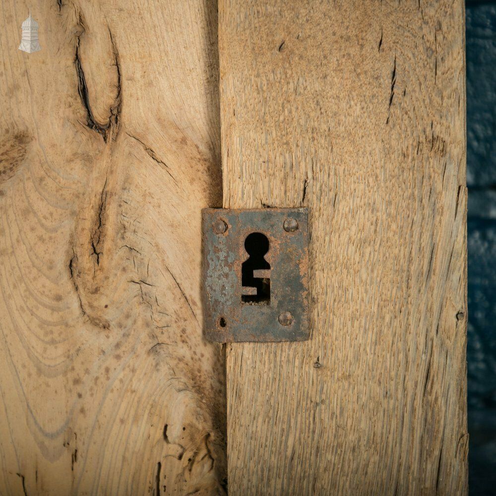 264.0 Paneled Oak Door, French 18th C photo