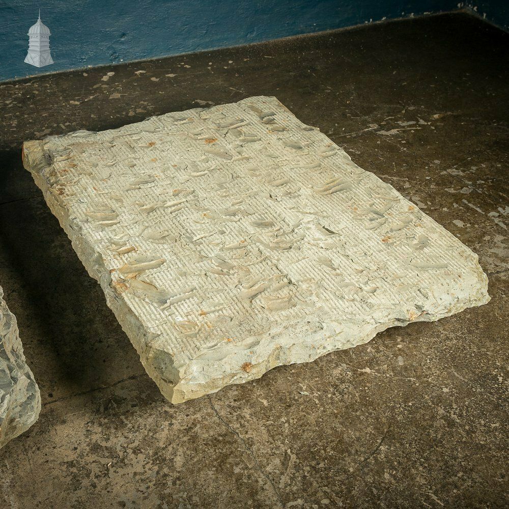Batch Of 3 Large Riven Flagstones With Machined Face photo furniture