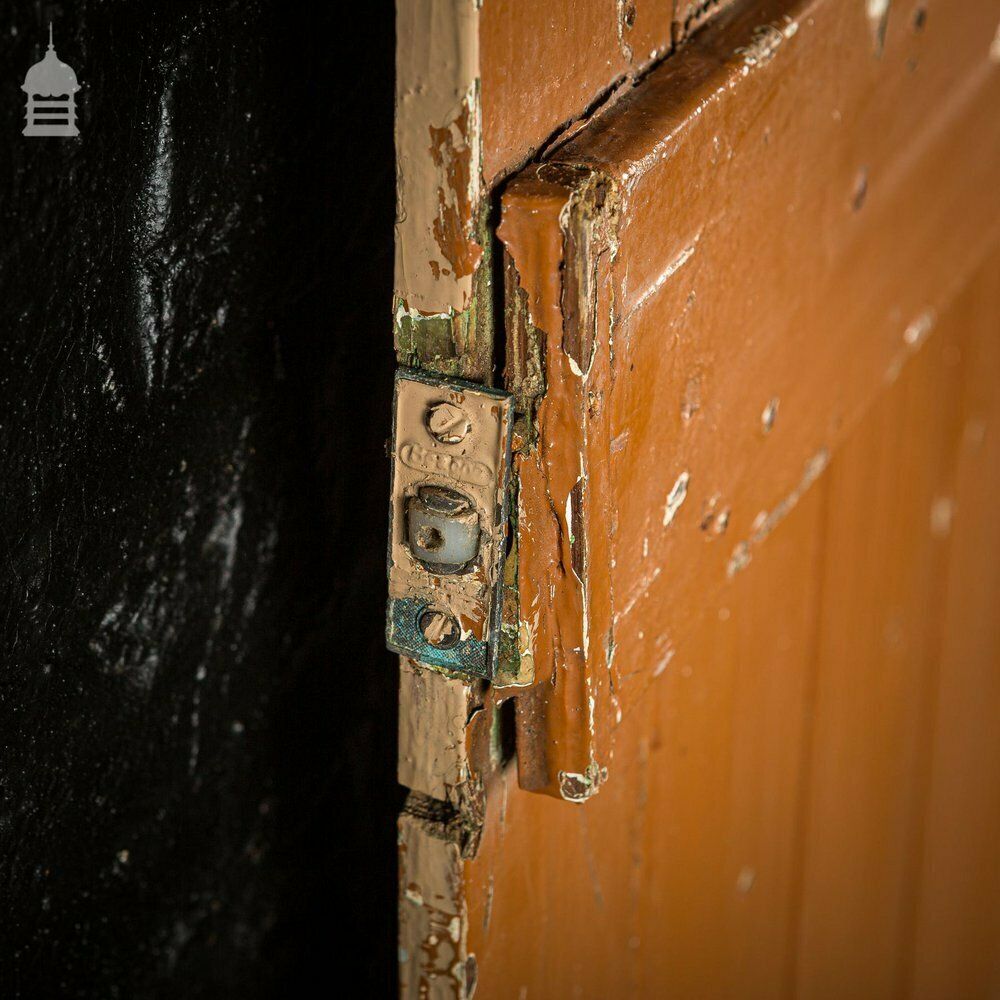 Narrow 19th C Ledged And Braced Painted Cottage Door photo 174.0