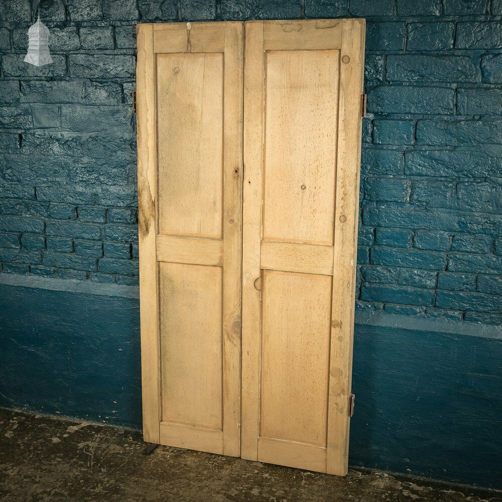 Pair Of Small 19th C Stripped Pine Moulded Panel Cupboard Doors photo 540.0