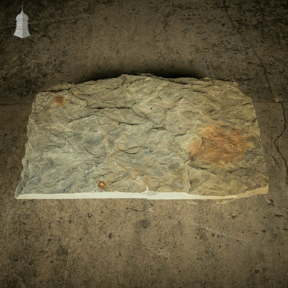 photo for sale Riven Flagstone With Weathered Face And Flat Cut Back – 89cm X 55cm