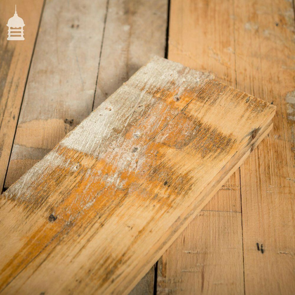 Batch Of 51 Square Metres Of 20th C Skimmed Beech Tongue & Groove Floorboard