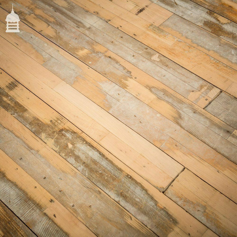 photo buy Batch Of 51 Square Metres Of 20th C Skimmed Beech Tongue & Groove Floorboard