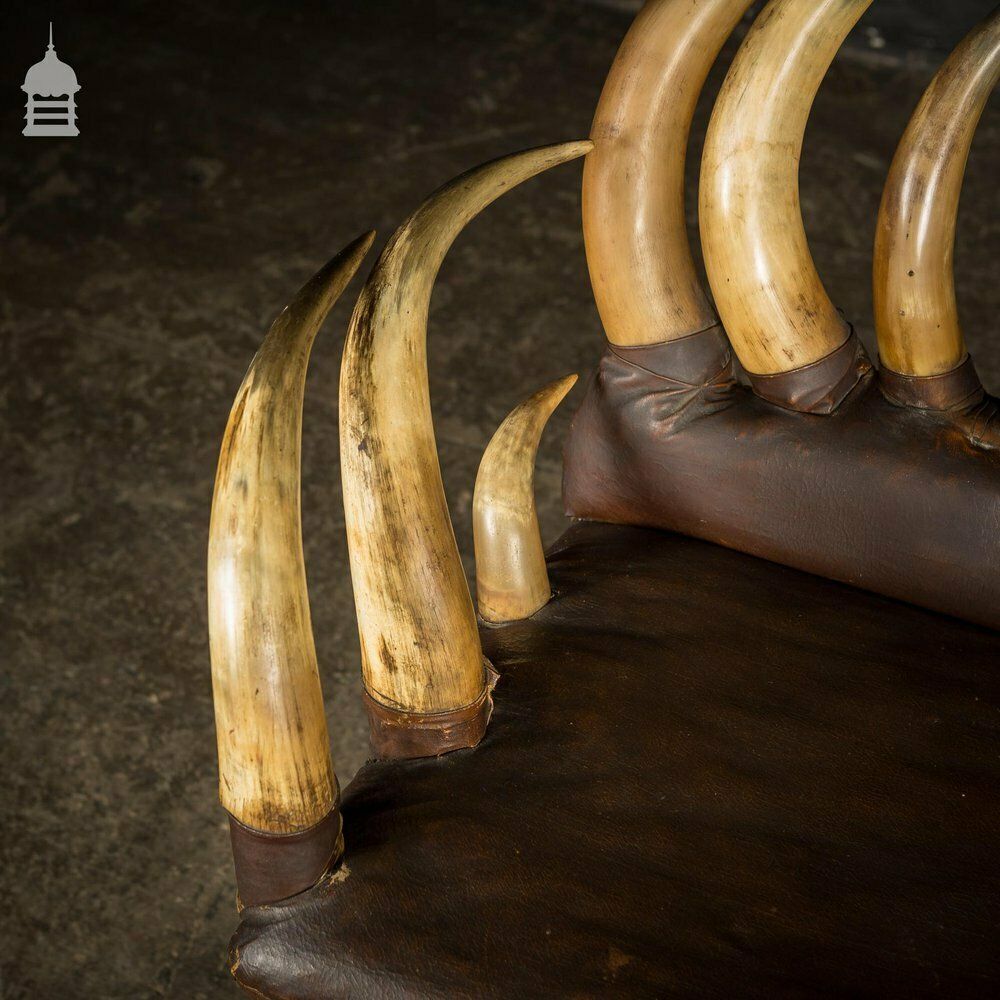19th C Longhorn Steer Throne Chair With Turned Oak Legs photo furniture