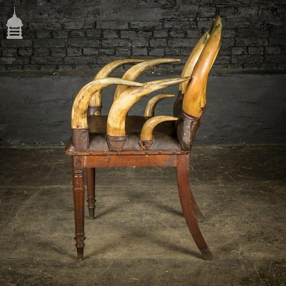 19th C Longhorn Steer Throne Chair With Turned Oak Legs photo vintage