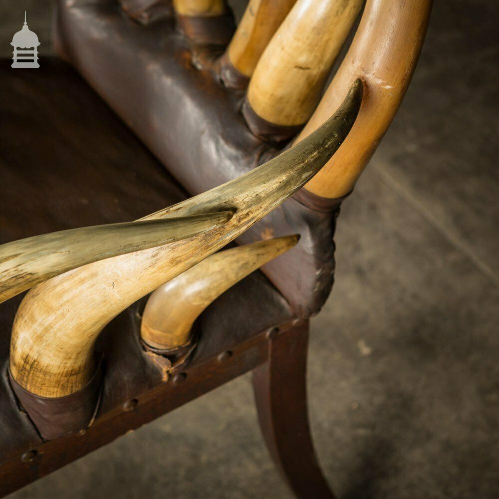 Furniture 19th C Longhorn Steer Throne Chair With Turned Oak Legs photo