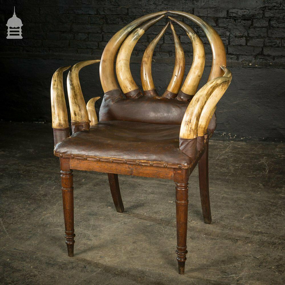 photo vinterior 19th C Longhorn Steer Throne Chair With Turned Oak Legs