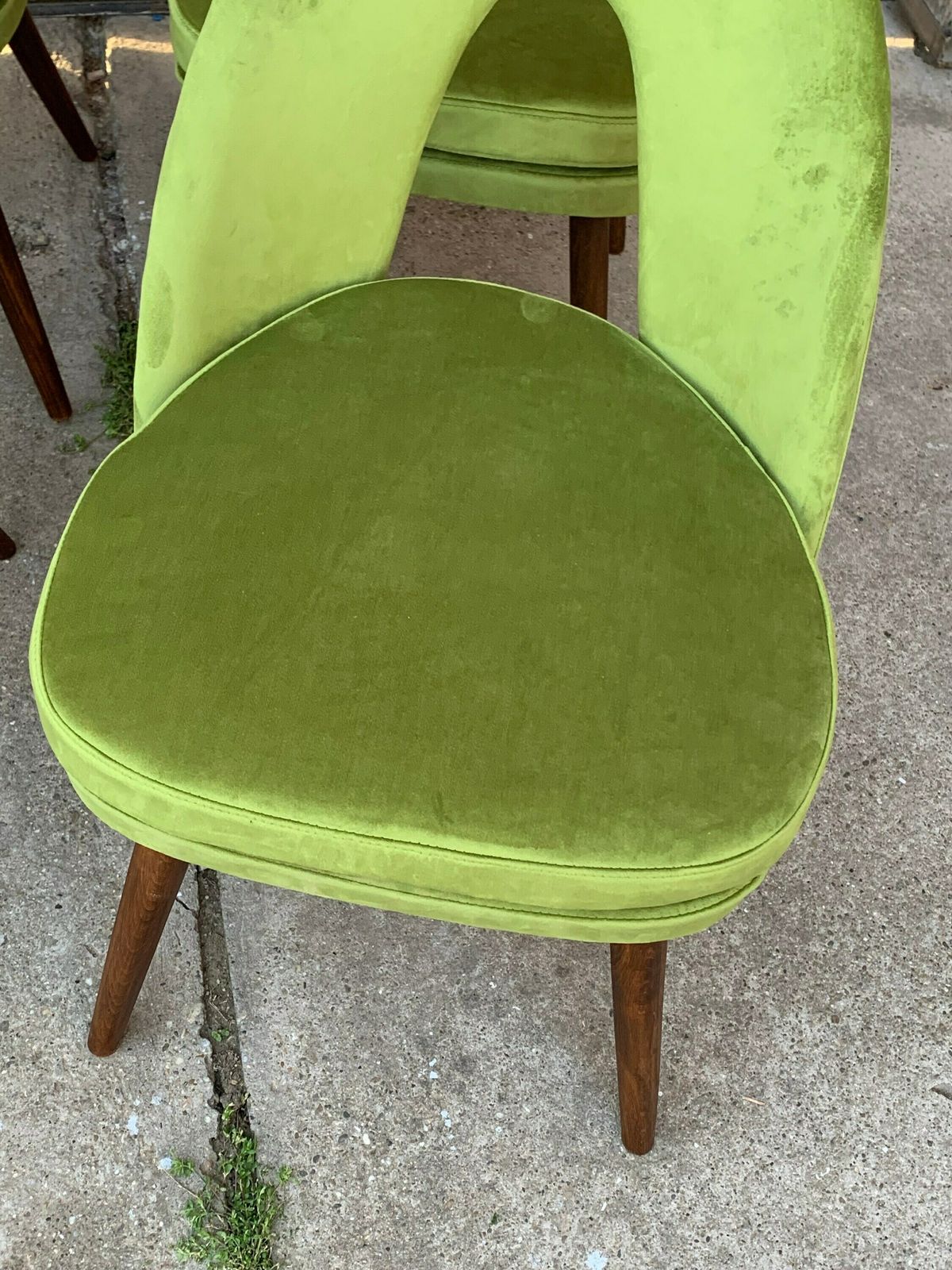 Mid Century Dining Chairs By Antonín šuman For Tatra Nábytok, 1960s, Set Of 4 photo buy