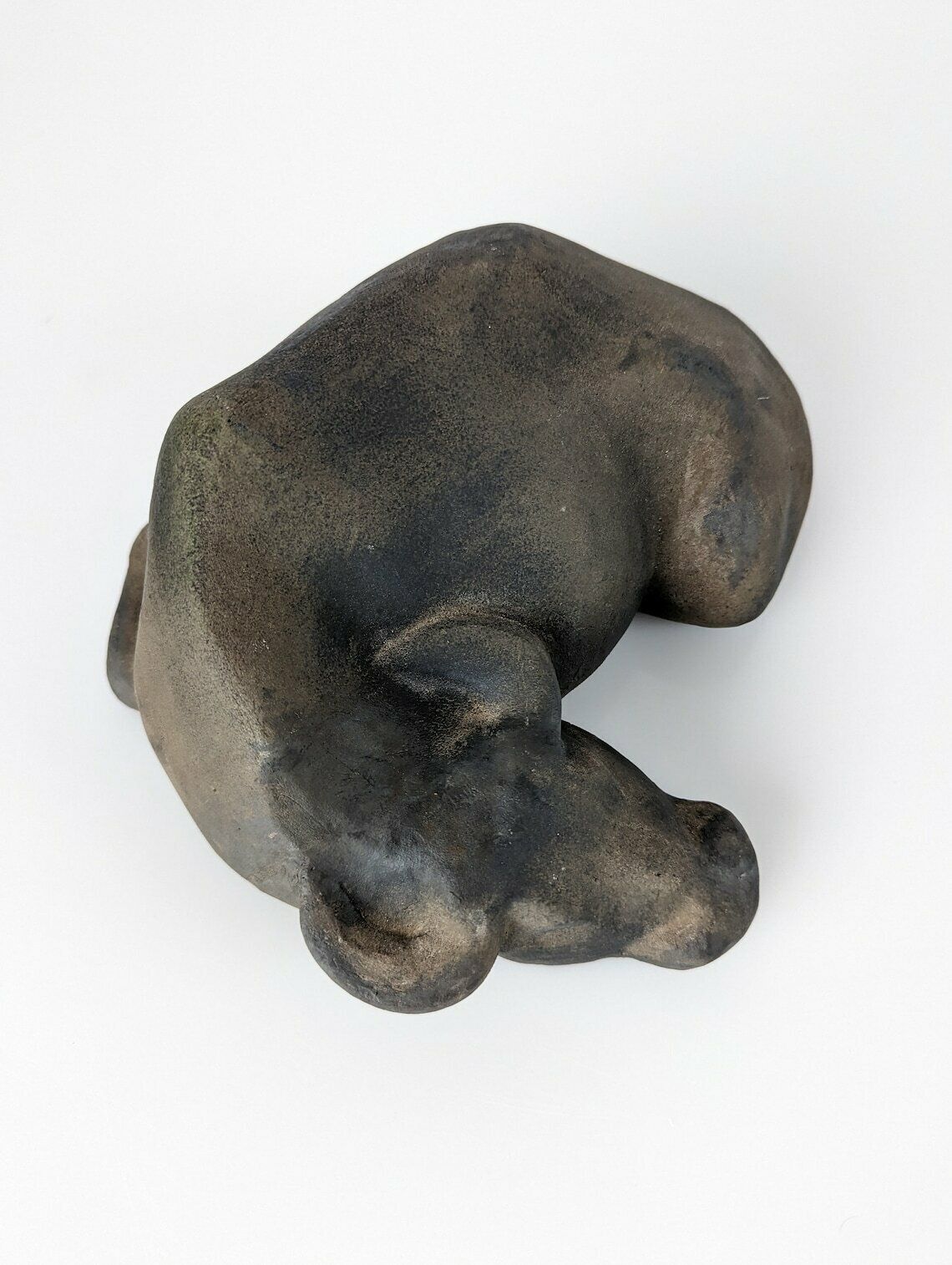 Animal Sculpture Water Buffalo Resting By Elena Laverón photo Art