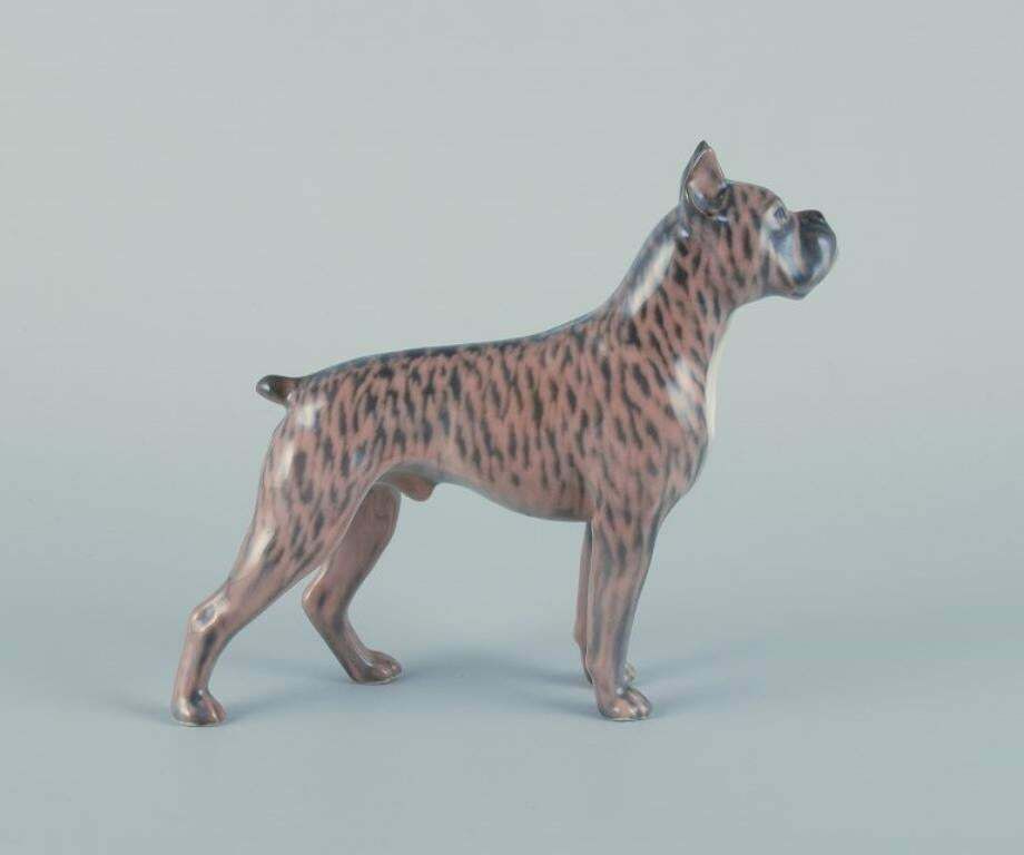 Royal Copenhagen, Porcelain Dog, Standing Boxer. Design By Holger Christensen photo 161.0