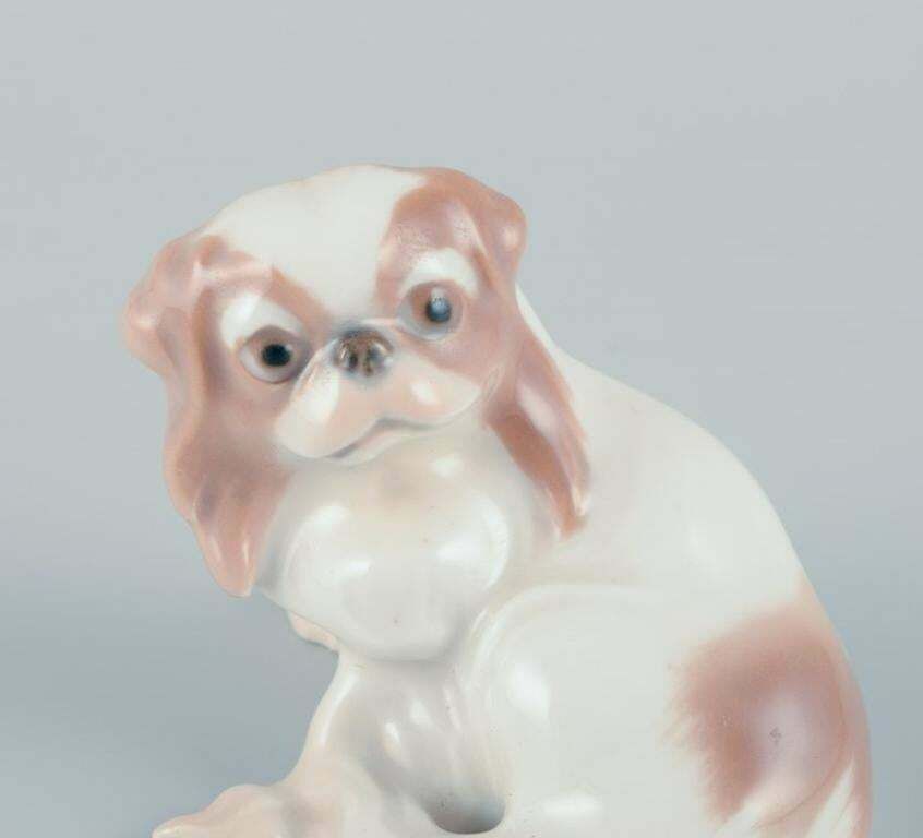 Dahl Jensen For Bing & Grøndahl. Small Porcelain Figurine Of A Pekingese Dog. photo Home Decor