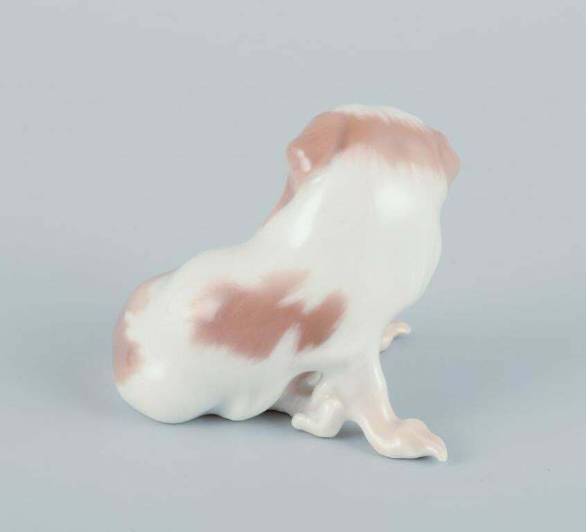 Dahl Jensen For Bing & Grøndahl. Small Porcelain Figurine Of A Pekingese Dog. photo 160.0