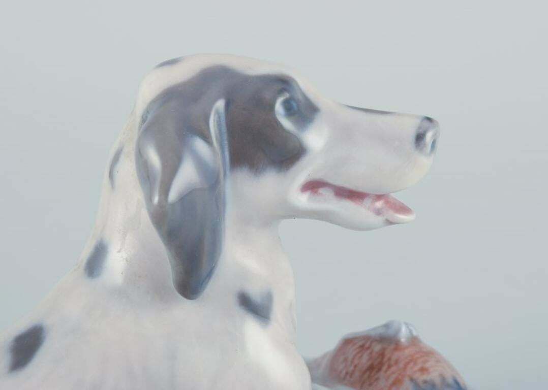 Royal Copenhagen, Porcelain Figurine Of A Setter With Pheasant. photo vinterior