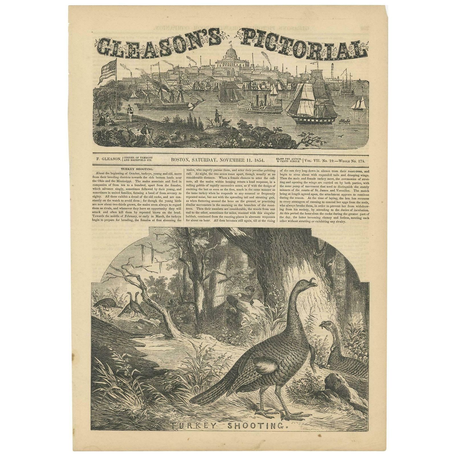 Antique Print Of Turkey Shooting By Gleason's Pictorial, 1854