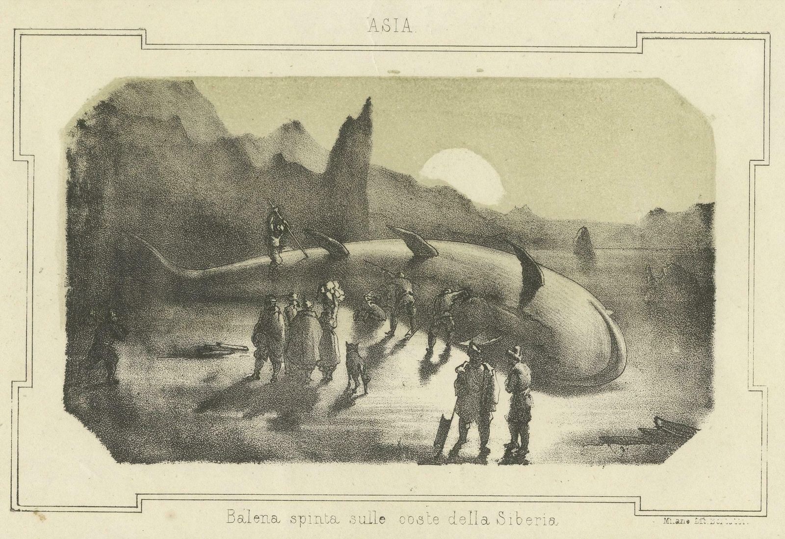Maritime Wonders: Beached Leviathans Of The 19th Century In Siberia, Circa 1850 photo furniture