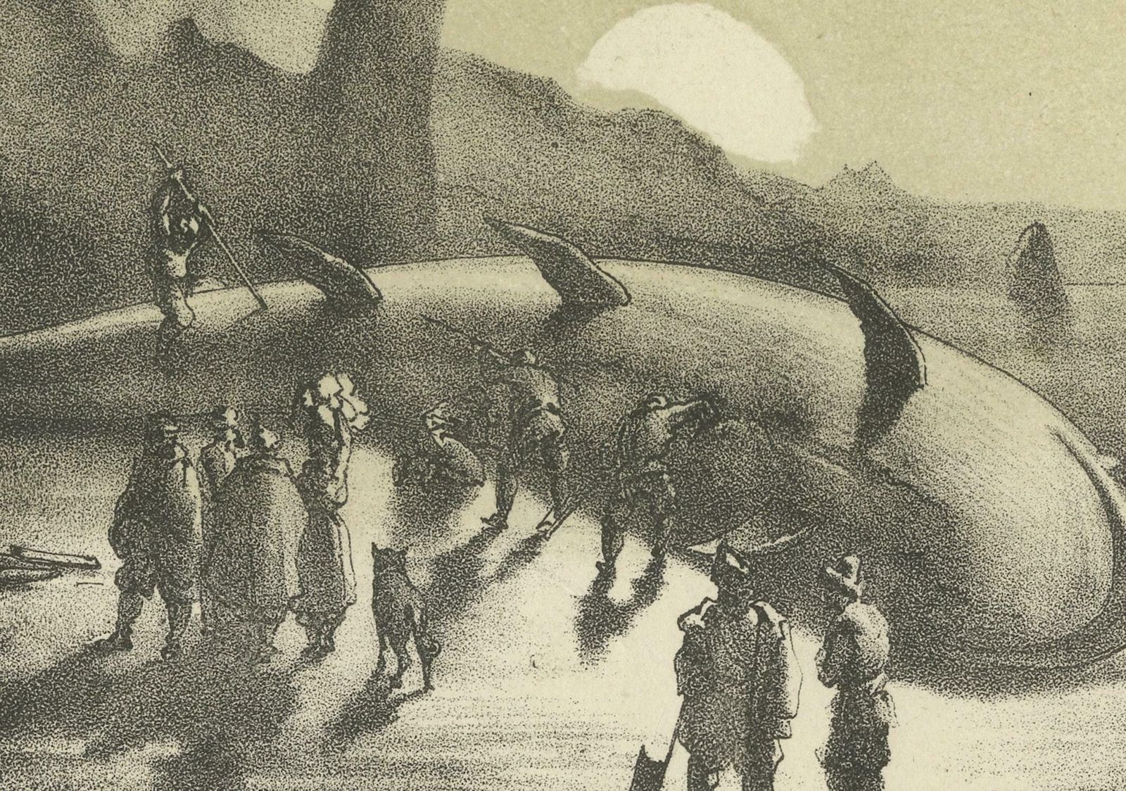 Maritime Wonders: Beached Leviathans Of The 19th Century In Siberia, Circa 1850 photo for sale