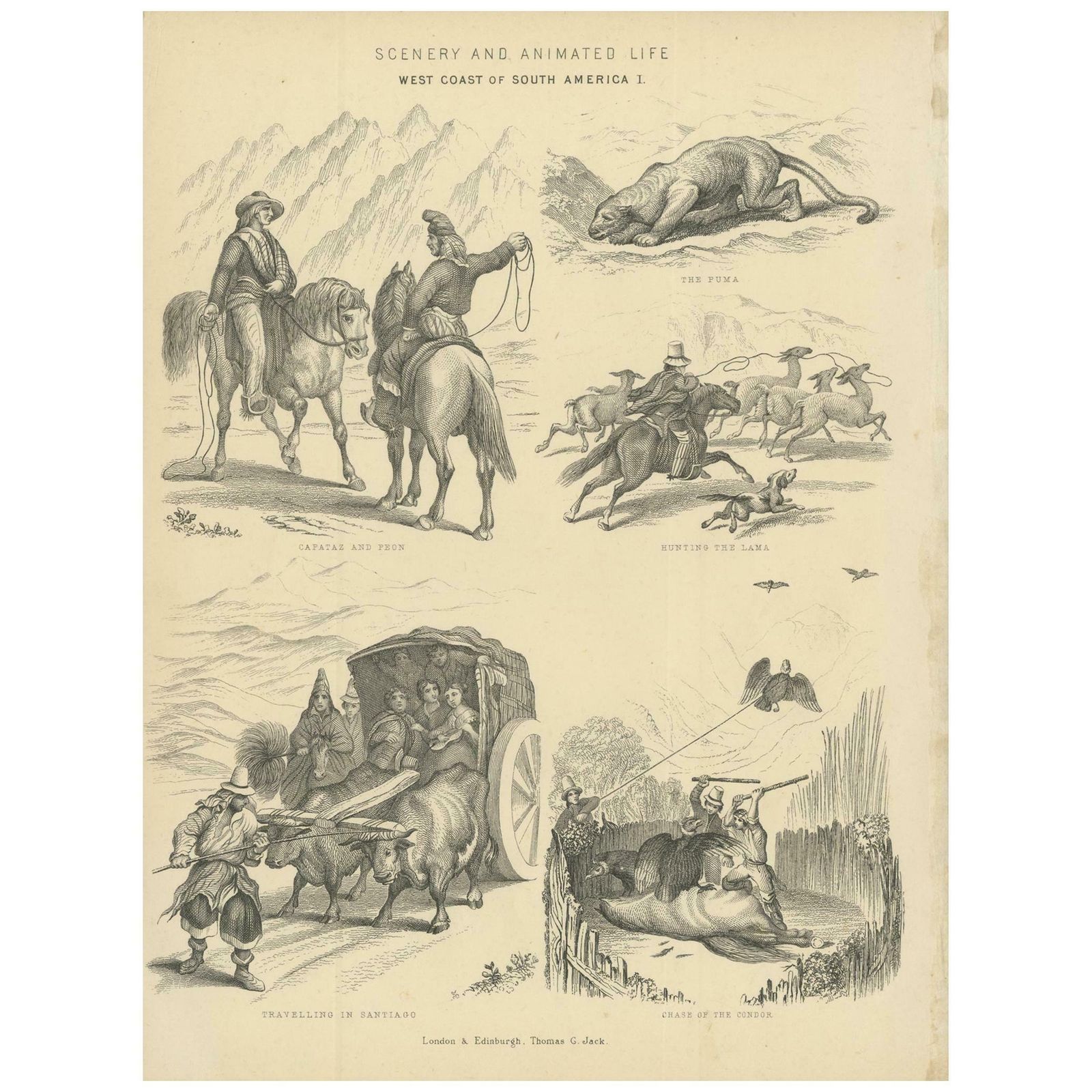 Antique Print With Views Of South America, Circa 1870