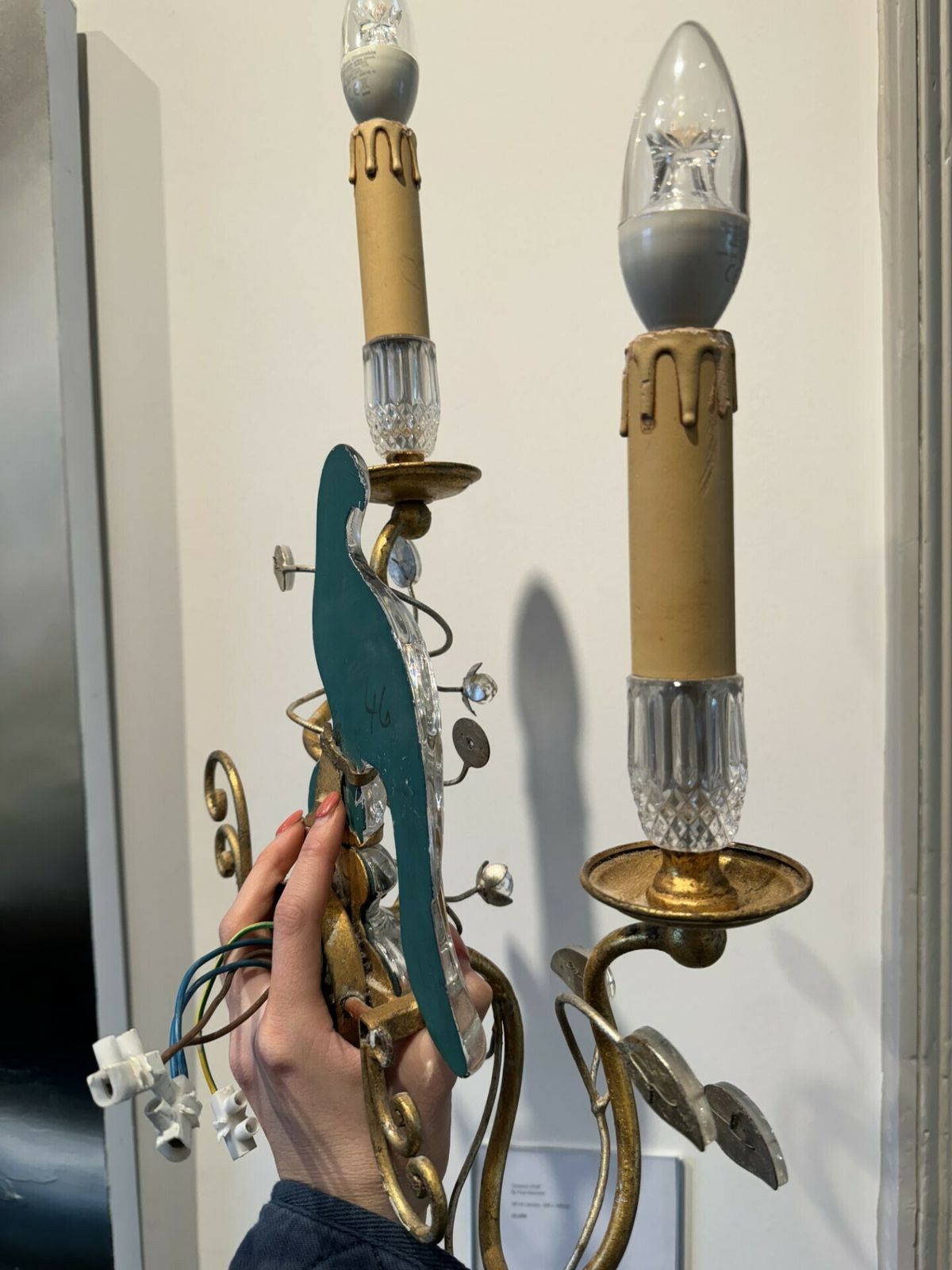 Maison Baguès Style Gilt Metal Sconce With Glass Parrots Pair photo Art