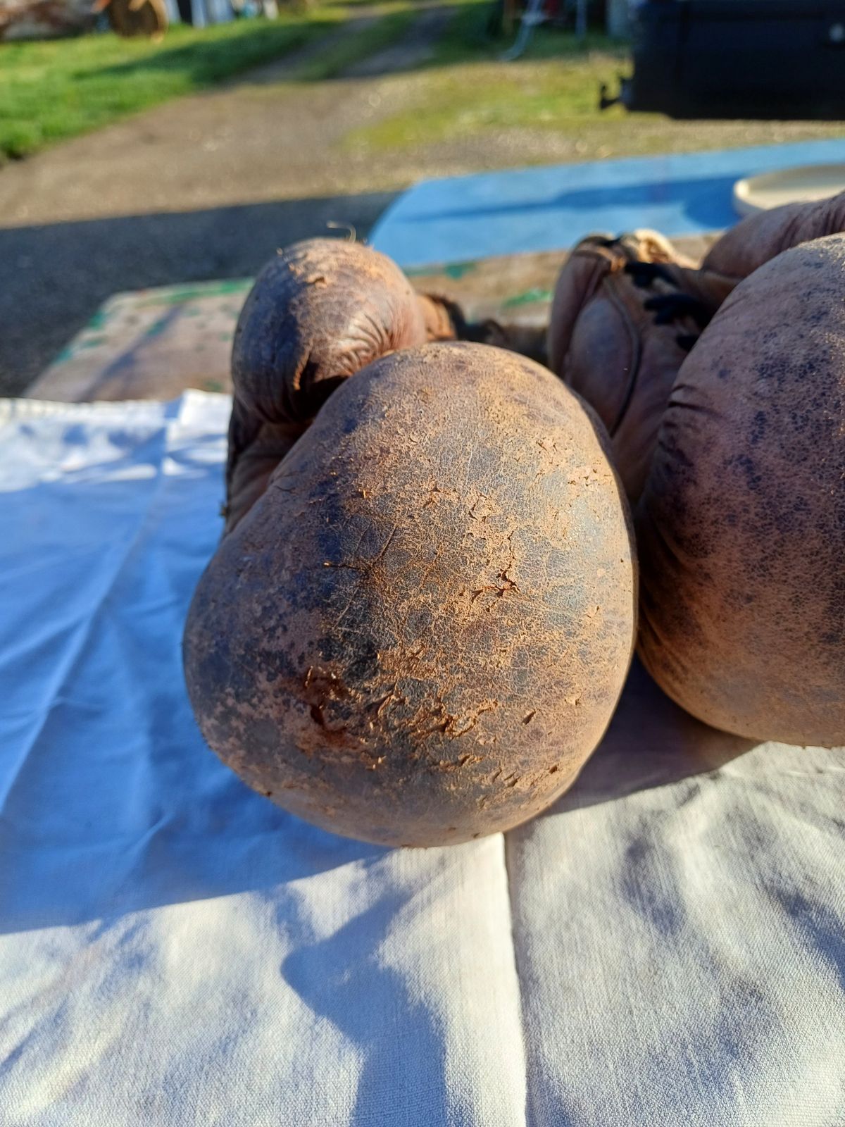 Home Decor Pair Of Old Leather Boxing Gloves photo