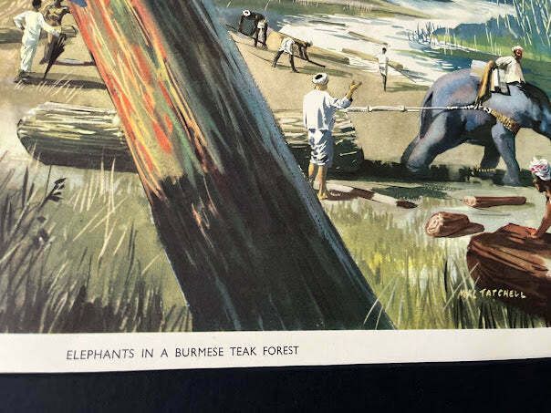 Vintage 1950s School Poster   'Elephants In A Burmese Teak Forest' photo furniture