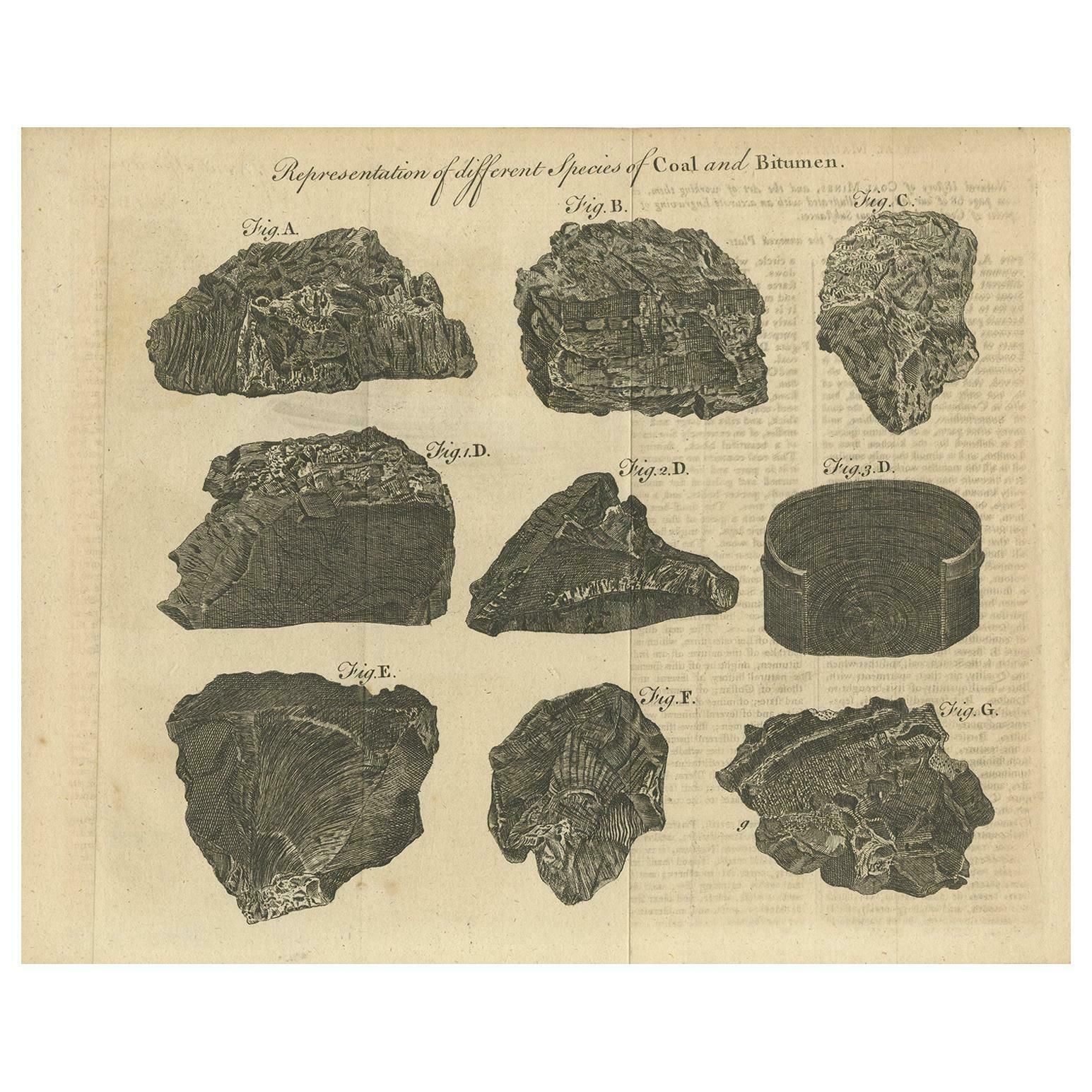 Antique Print Of Coal And Bitumen, '1769'